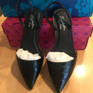 Seychelles Women's Haunt Pointed Toe Black Leather Flats Size 6 *Brand New*